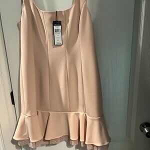 BCBG Maxazria light pink dress NWT